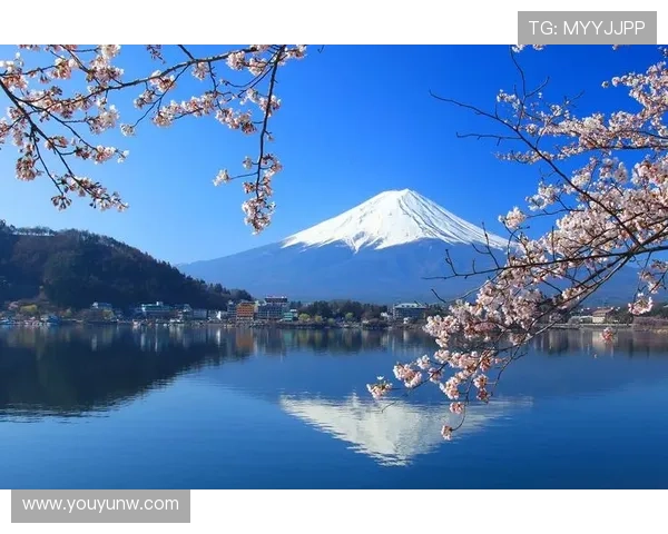 最瀛自由行：解锁日本无限精彩，你的专属旅程由此开启