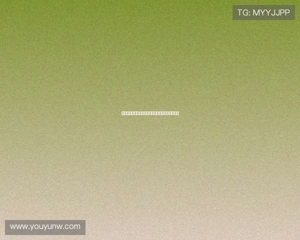 十年回响：伊拉克战争纪录片，一部触及灵魂的史诗